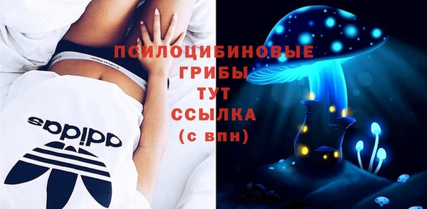 кокс Ельня