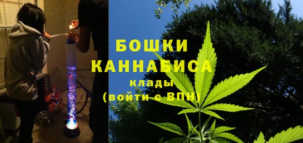 кокс Ельня