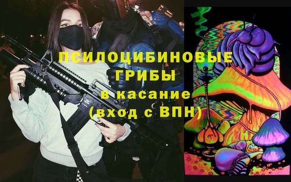 кокс Ельня